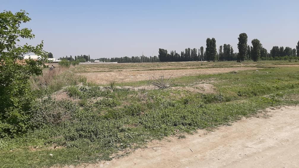 Баткен: Кыргыз-Кыштак айыл өкмөтүнүн үч кызматкери кармалып, мурдагы жер адистин мүлкү конфискацияланды