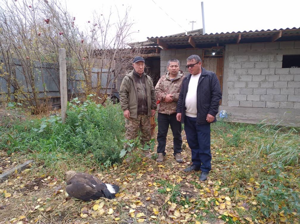 "NABU-Кыргызстандын" түштүк бөлүмү аткарган жумуш