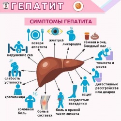 Вирустук гепатит - коркунучтуу дарт